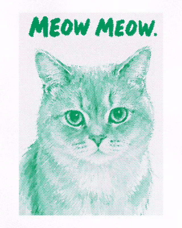 An ink-wash drawing of a cat under the words MEOW MEOW, two inks, green and fluorescent pink