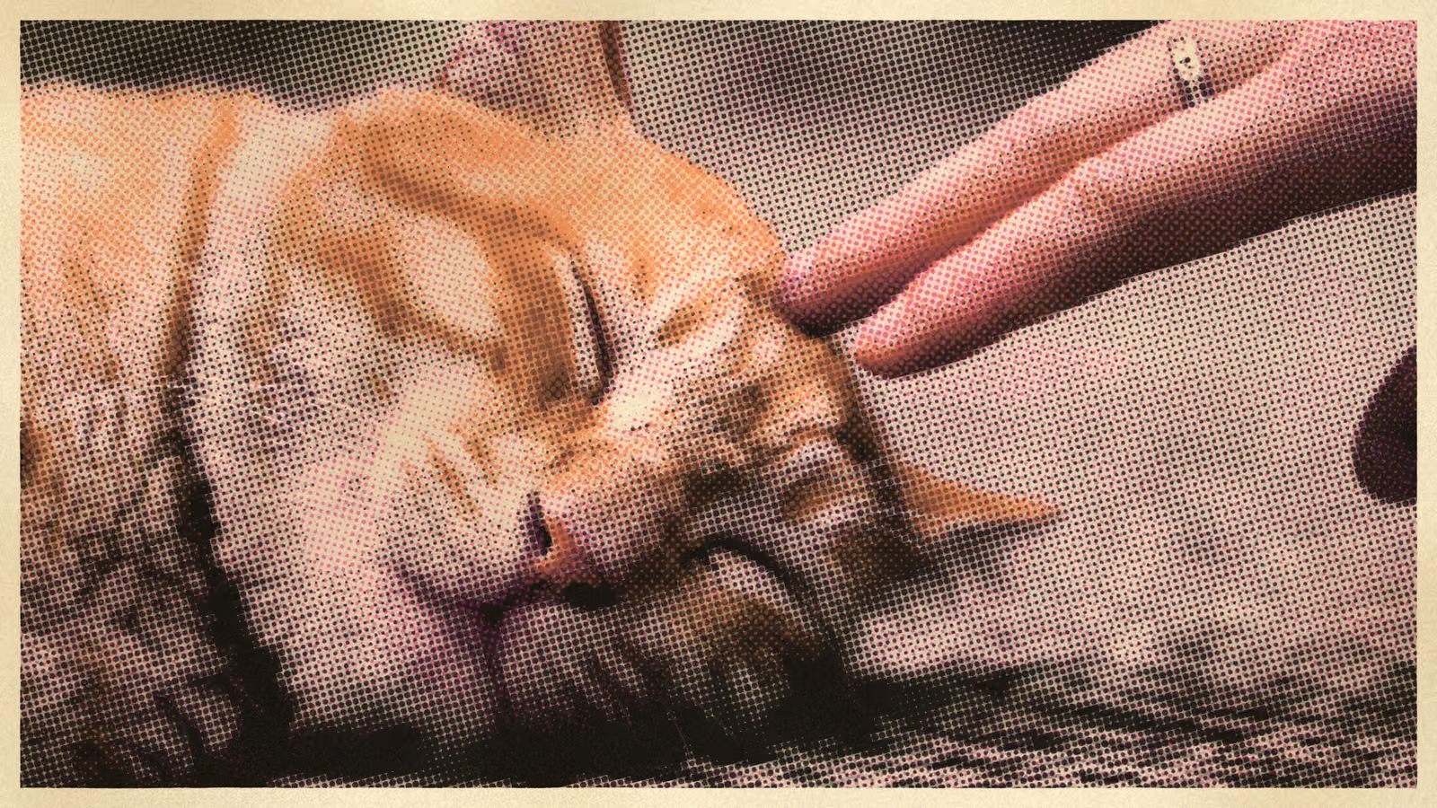 A ginger cat asleep under a hand, printed in black, pink and peach dots