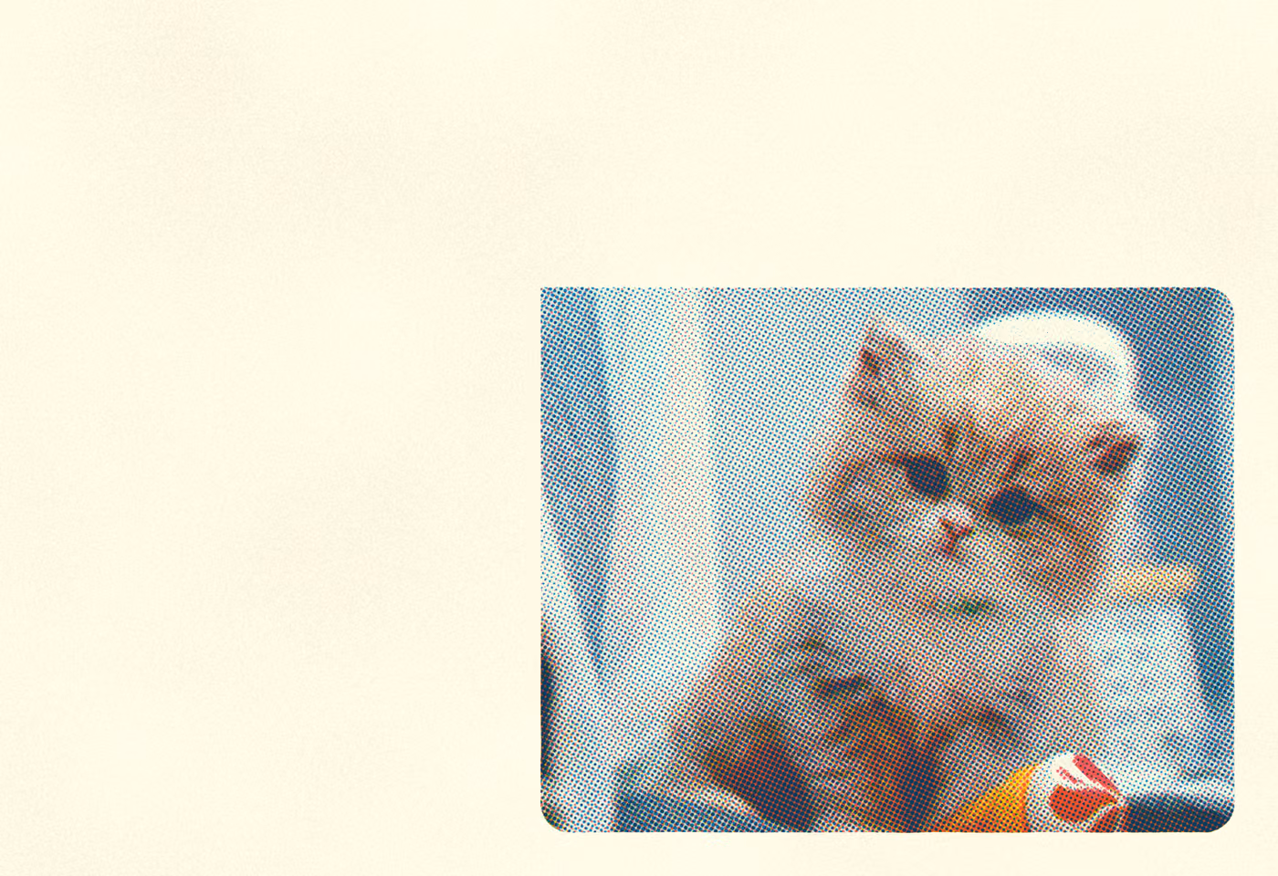 Baby Cat: the print, 3 inks on warm stock