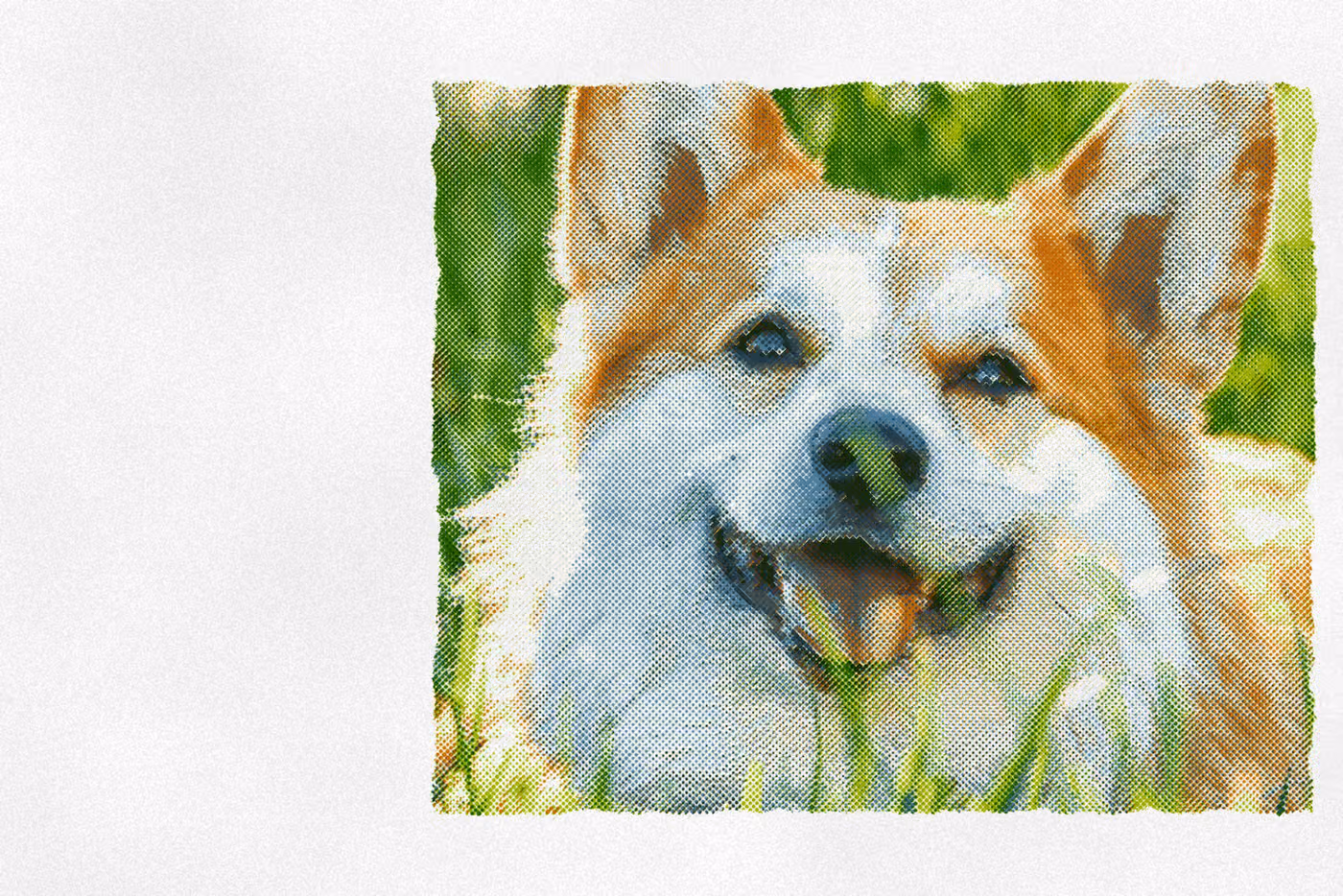 Cute Dog: the print, 5 inks on white stock