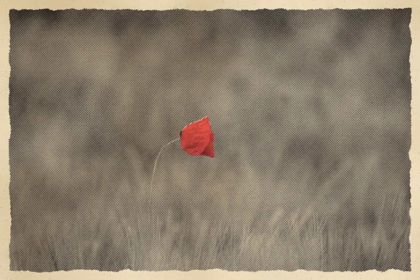 Flower: the print, 2 inks on aged stock