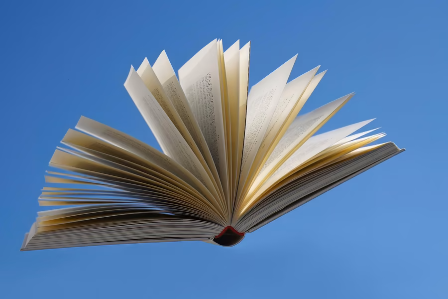 Flying Book: the photograph it was printed from