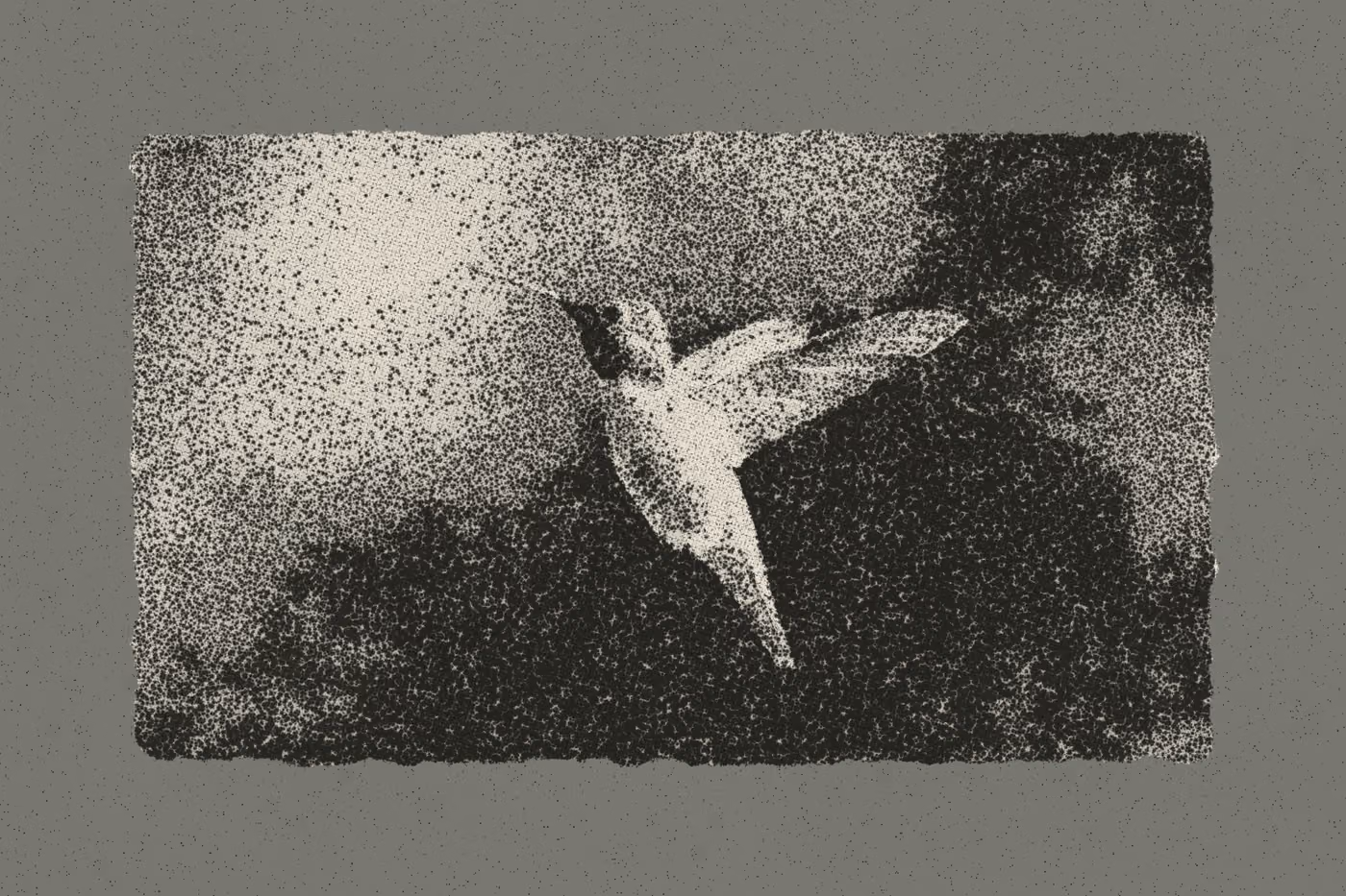 Hummingbird: the print, 1 ink on speckled stock
