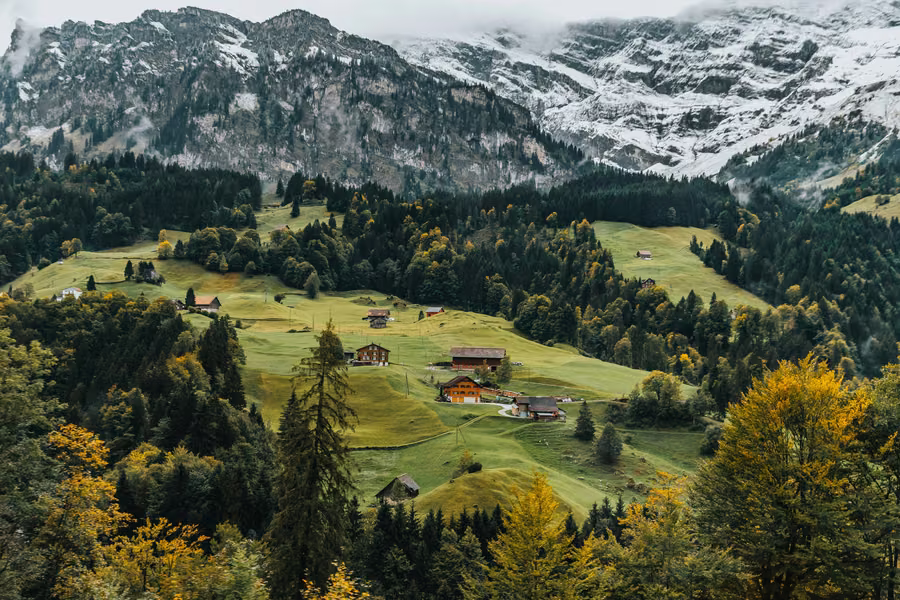 Swiss Alps: the photograph it was printed from